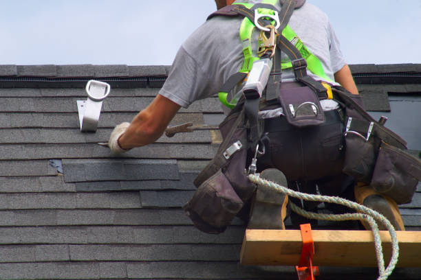 Best Sealant for Roof  in Ness City, KS