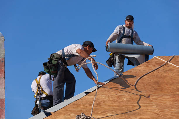 Best Best Roofing Contractors  in Ness City, KS