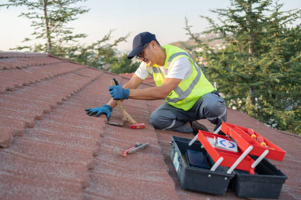Best New Roof Installation  in Ness City, KS