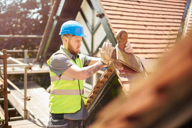 Best Metal Roofing Contractor  in Ness City, KS